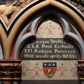 DSC 7340