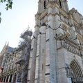 DSC 7595