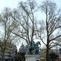 DSC 7598