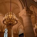 DSC 7269