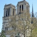 DSC 7603