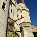 DSC 8576 (46 visits) DSC 8576