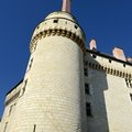 DSC 8580 (45 visits) DSC 8580