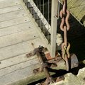 DSC 8591 (74 visits) DSC 8591