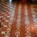 DSC 8610 (55 visits) DSC 8610