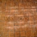 DSC 8647 (34 visits) DSC 8647