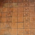 DSC 8648 (41 visits) DSC 8648