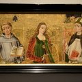 DSC 8703 (36 visits) DSC 8703