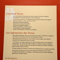 DSC 8741 (51 visits) DSC 8741
