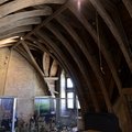 DSC 8774 (35 visits) DSC 8774